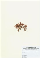 藏品(紅羽凹頂藻)的圖片
